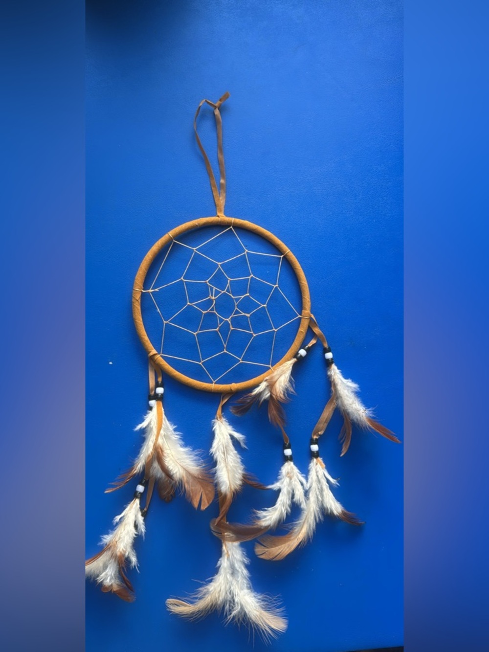 Handmade Brown and White Dreamcatcher Wall Decor